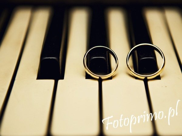 ioferta galeria