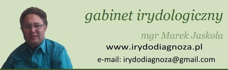 ioferta galeria