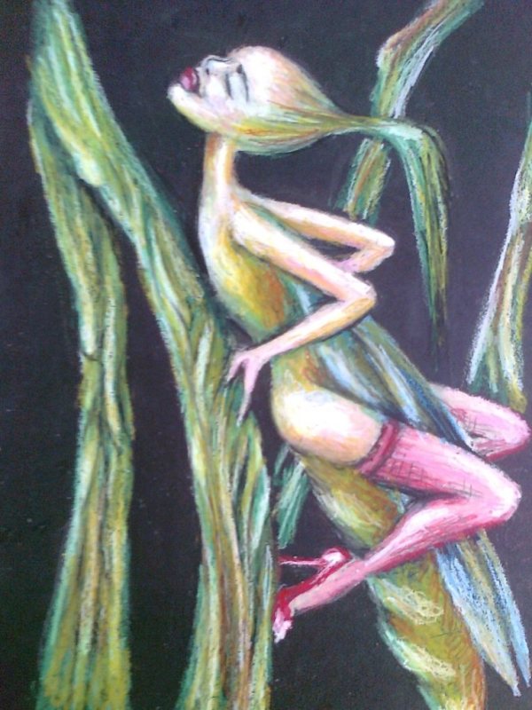 ioferta galeria