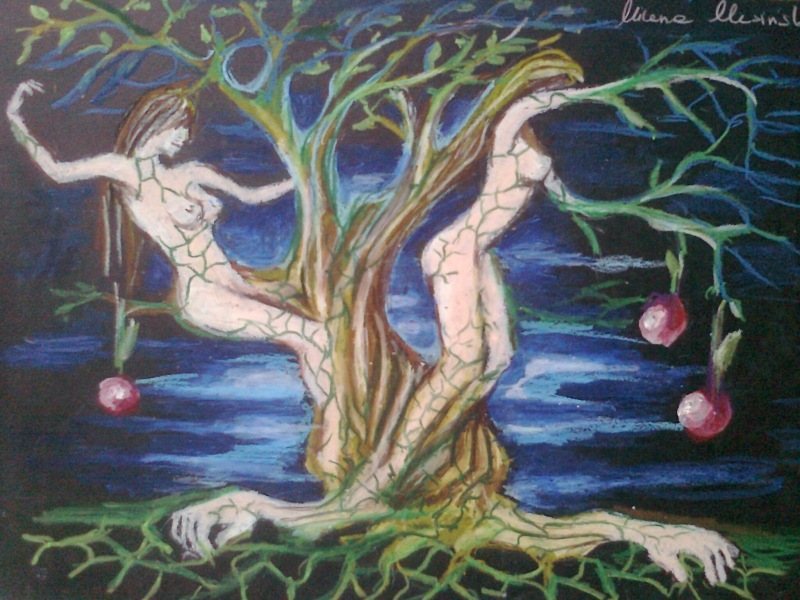 ioferta galeria