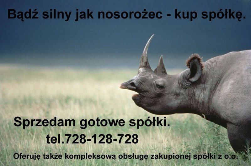 ioferta galeria