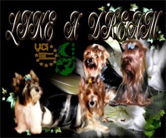 ioferta galeria