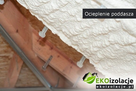 ioferta galeria
