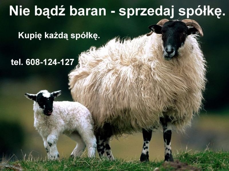 Advertising