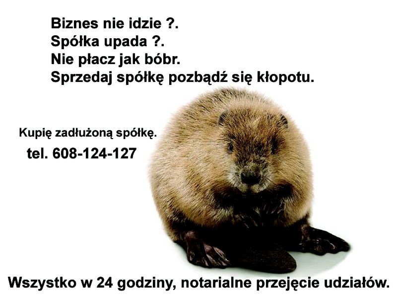 Advertising