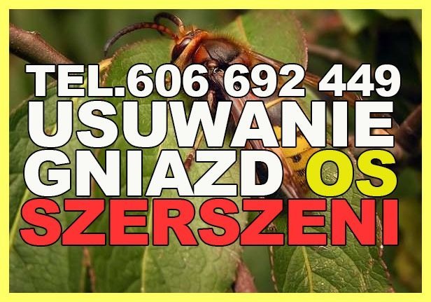 Advertising