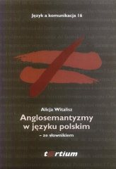 ANGLOSEMANTYZMY W JĘZYKU POLSKIM ZE SŁOWNIKIEM – zdjęcie 1